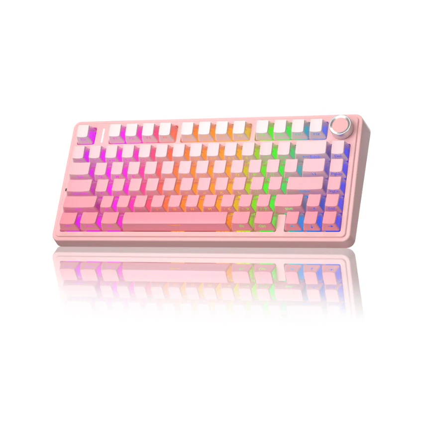 Product image 66